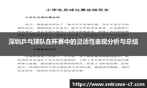 深圳乒乓球队在杯赛中的灵活性表现分析与总结